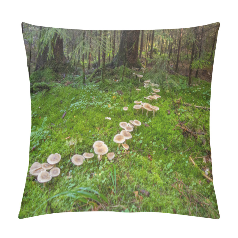 Personality  Fairy Ring In A Forest At Autumn Time Pillow Covers