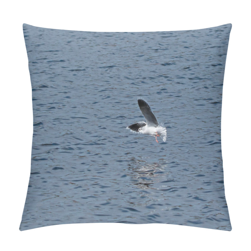 Personality  Little Gull Underwing Pillow Covers