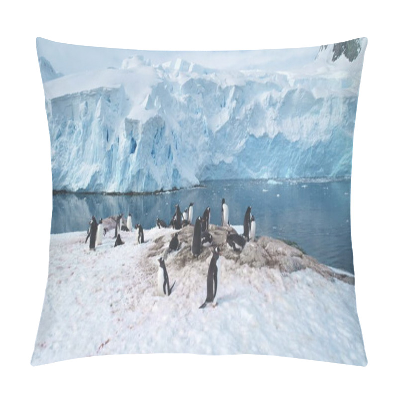 Personality  Penguins Colony On Antarctic Mountain Coastline. Gentoo Penguins Nesting, Towering Iceberg, Snow Covered Glacier In Cold Ocean Water In Background. Explore Wildlife In Antarctica. Panoramic Shot Pillow Covers