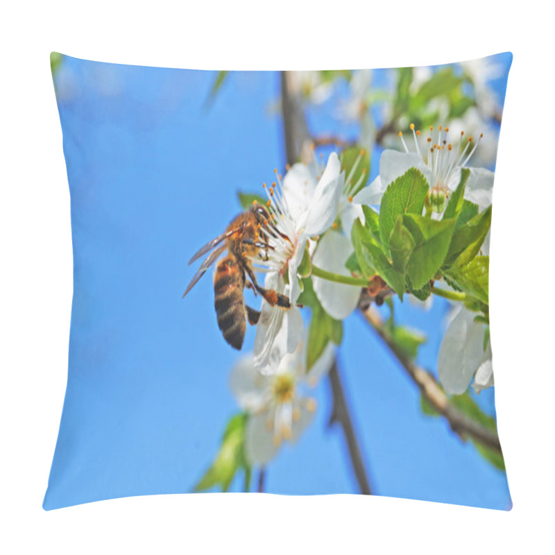 Personality  A Bee Sits On A Branch Of Flowering Sweet Cherry With White Delicate Petals And Green Leaves Against A Blue Sky Pillow Covers