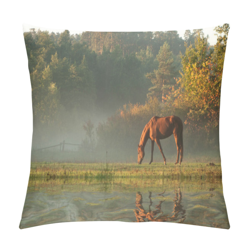 Personality  Horse On Fog Meadow In Morning Reflected In The Water Pillow Covers