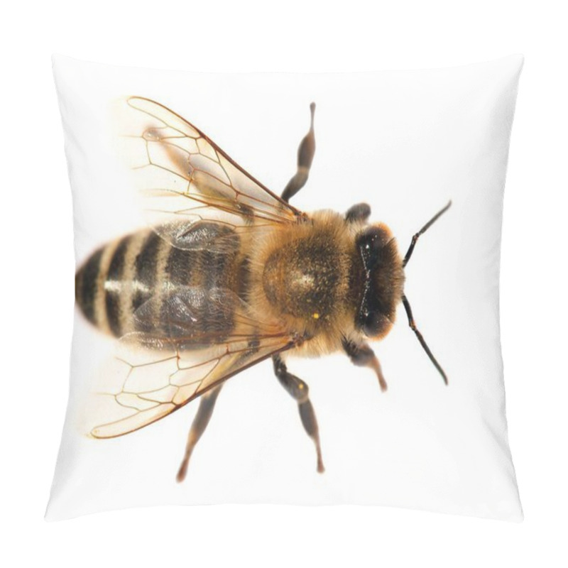 Personality  Detail Of Bee Or Honeybee , Apis Mellifera Pillow Covers