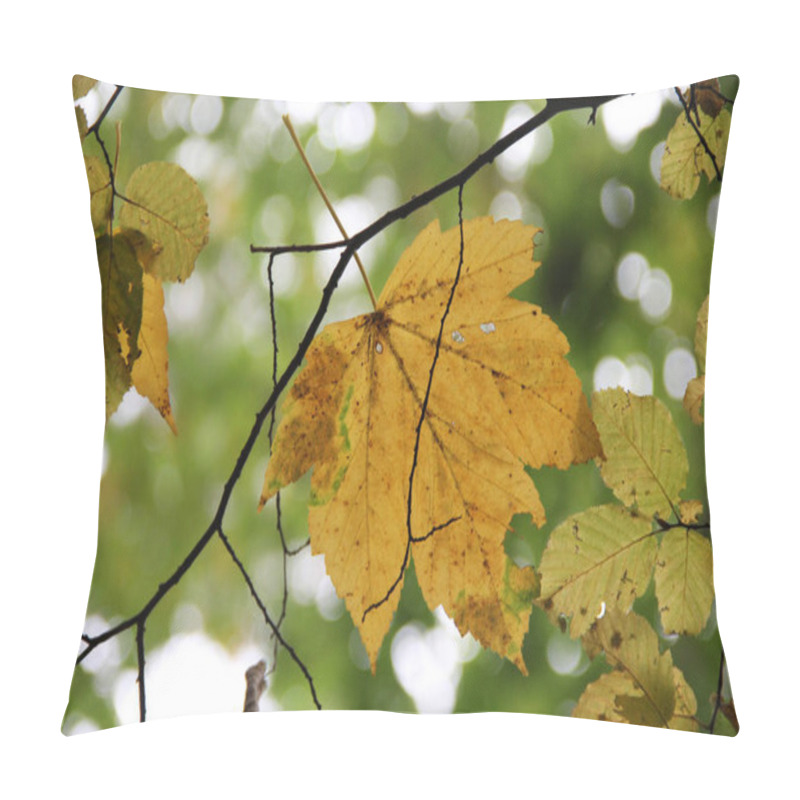 Personality  Bottom View Of A Yellow Maple Leaf Lying On A Branch Against A Background Of Foliage Pillow Covers