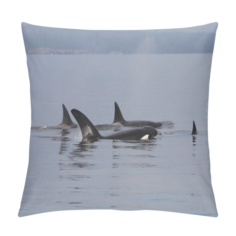 Personality  Schwertwal - Orca / Killer Whale / Orcinus Orca Pillow Covers