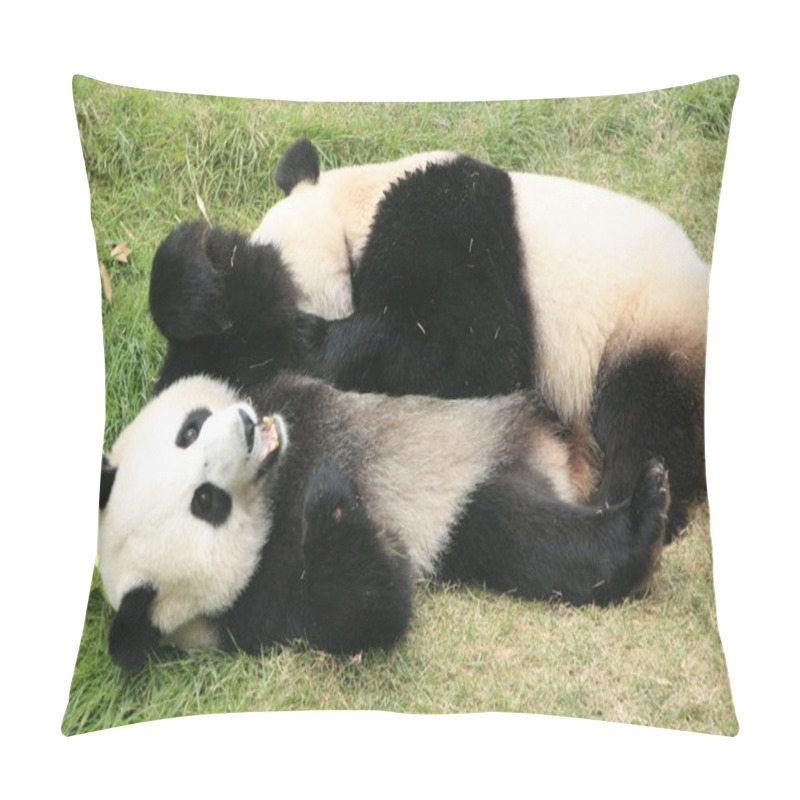 Personality  Giant Panda Bears Rolling Together (Ailuropoda Melanoleuca), China Pillow Covers