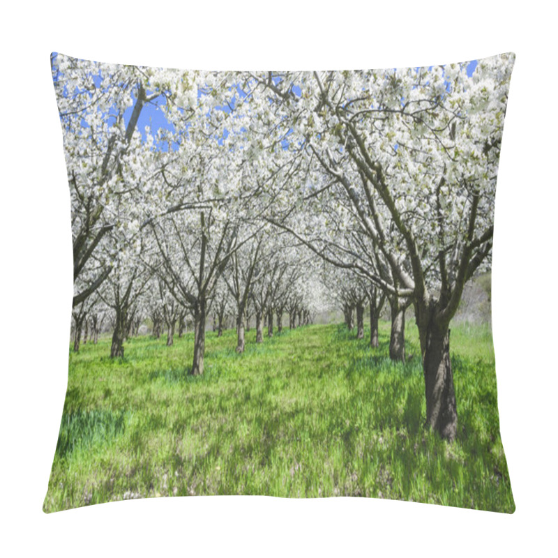 Personality  Cherry Blossoms, Caderechas Valley, Spain Pillow Covers