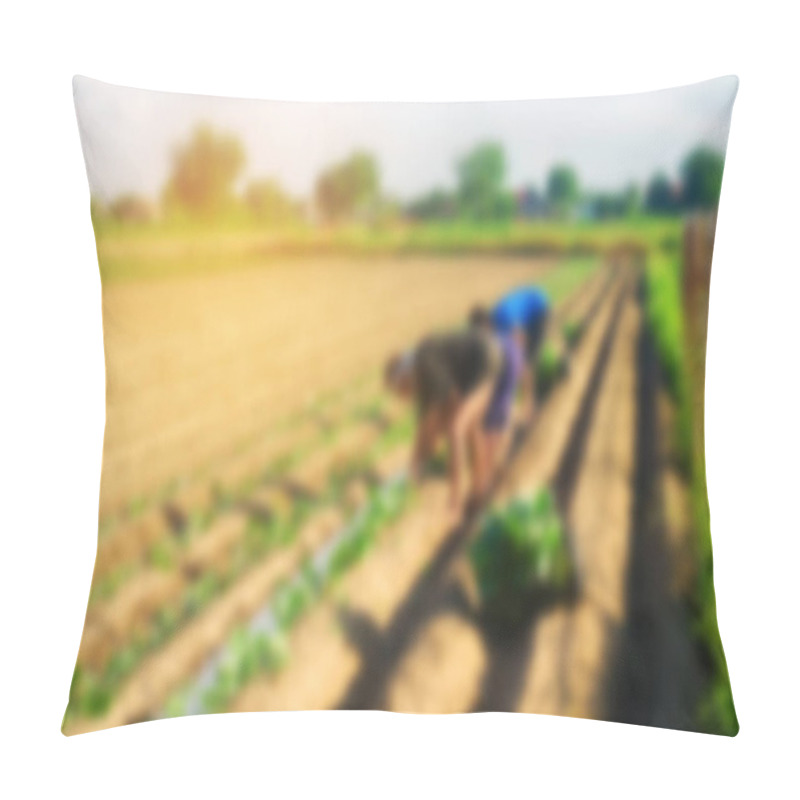 Personality  Workers Work On The Field, Harvesting, Manual Labor, Farming, Agriculture, Agro-industry In Third World Countries, Labor Migrants, Blurred Background Pillow Covers