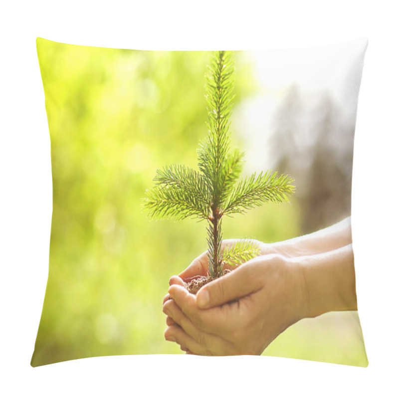 Personality  Spruce Sapling In Hands. The Leaves Of Rays Of Sunlight. Pillow Covers