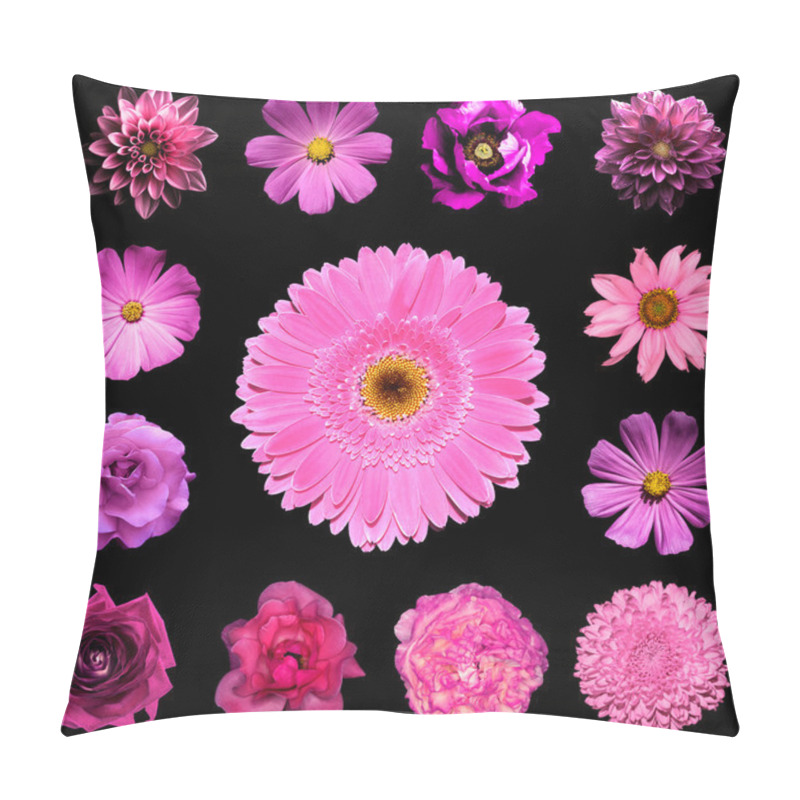 Personality  Mix Collage Square Styled Of Natural And Surreal Pink Flowers 13 In 1: Dahlia, Primula, Perennial Aster, Daisy Flower, Rose, Peon, Gerbera, Clove, Chrysanthemum Isolated On Black Pillow Covers