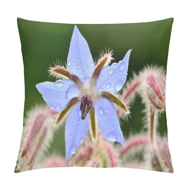 Personality  Macro Shot Of A Borage Flower (borago Officinalis) Covered In Water Droplets Pillow Covers