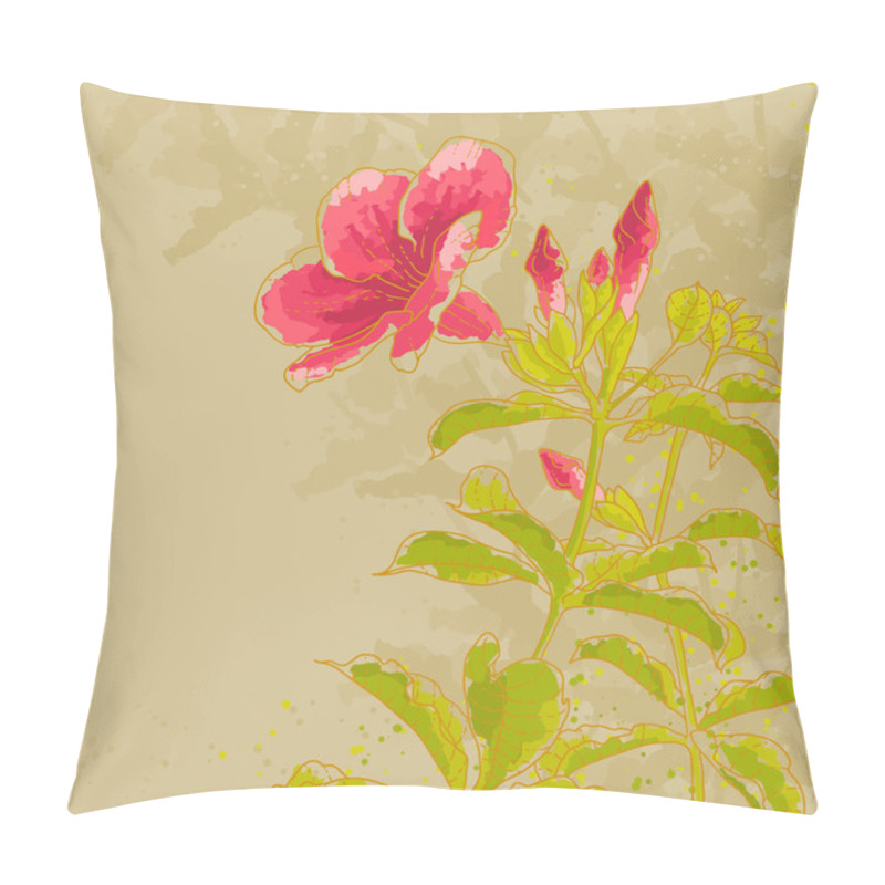 Personality  Allamanda Flower On Toned Background Pillow Covers