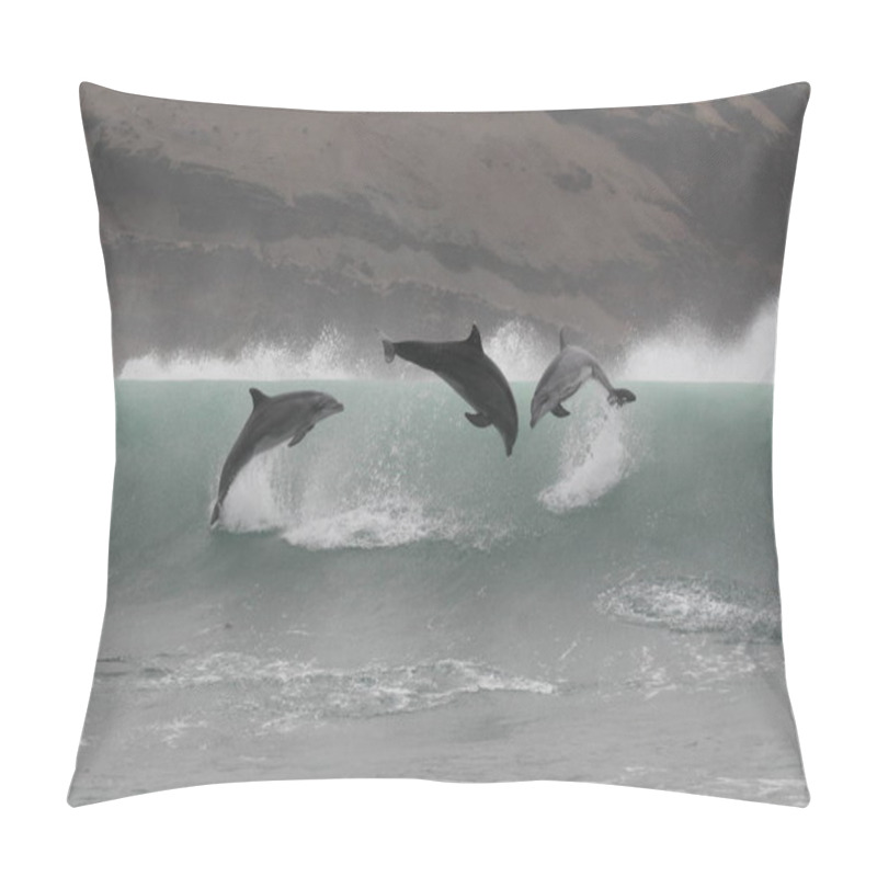 Personality  Wild Bottlenose Dolphins Jumping Off The Coast Of Peru Pillow Covers