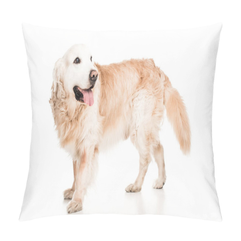 Personality  Golden Retriever Pillow Covers