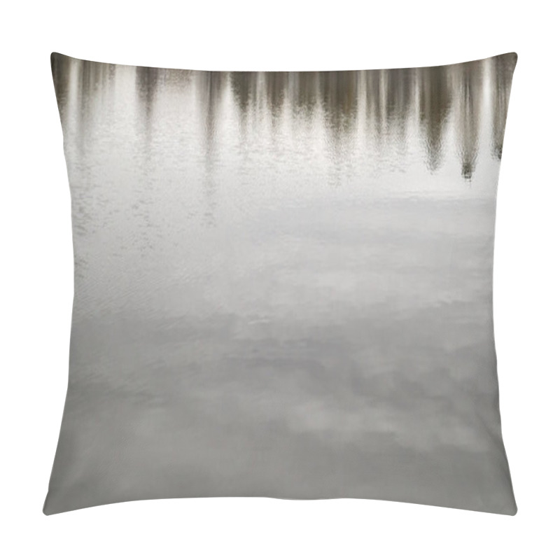 Personality  Water In The Pond Is Slowly Covered With Ice Due To Low Temperatures. The Arrival Of Winter. Close-up. Reflection Of Trees Without Leaves In Cold Water. Pillow Covers