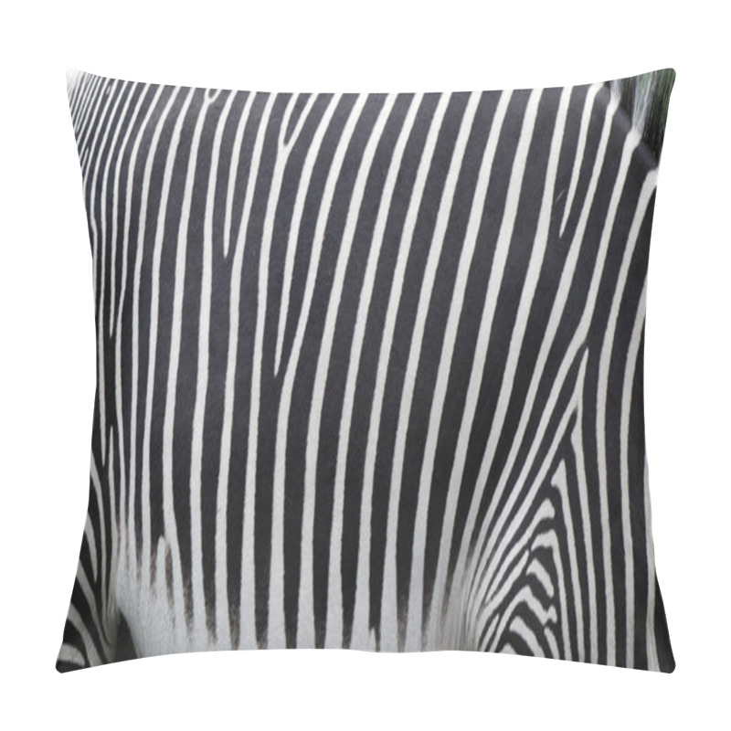 Personality  Zebra Skin Background Pillow Covers