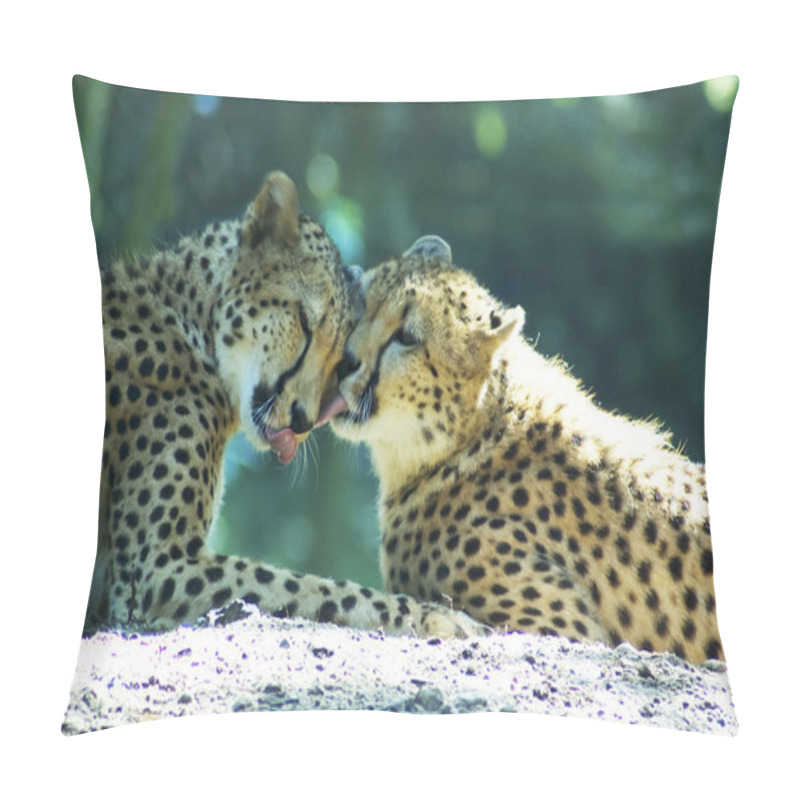 Personality  Loving Lion Couple Pillow Covers