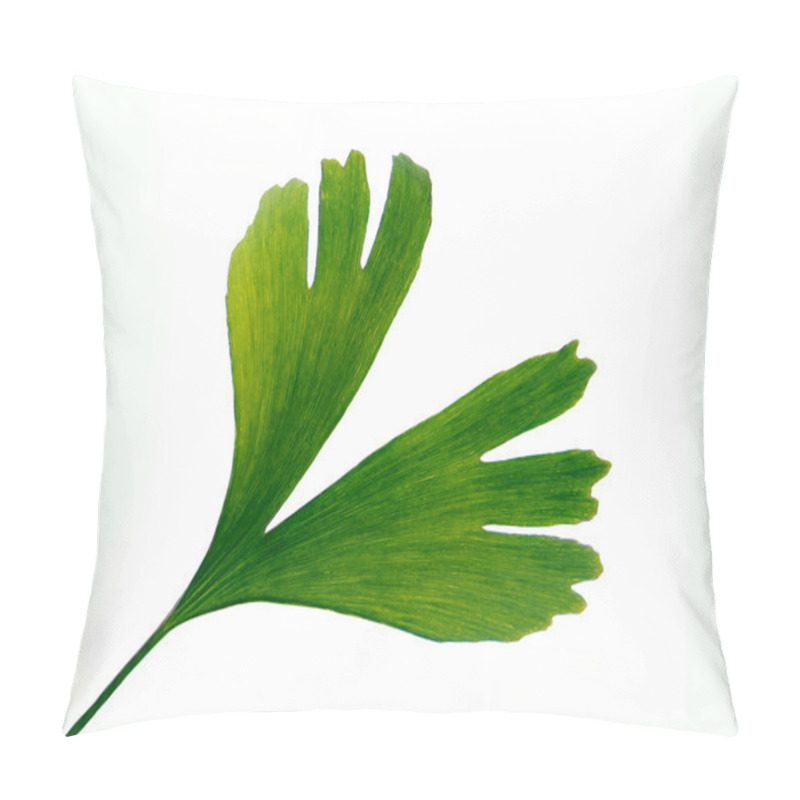 Personality  Gingko Leaf Pillow Covers