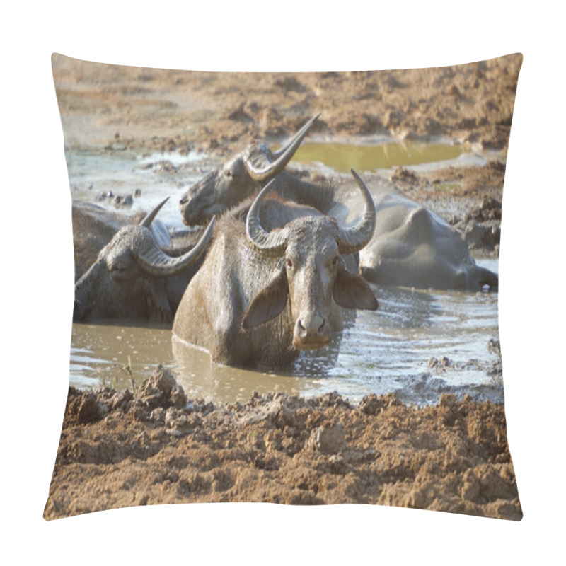 Personality  Water Buffalo Are Bathing In A Lake Pillow Covers