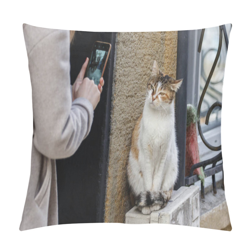 Personality  Tourist Woman Photographs A Stray Cat With A Smartphone. Istanbul, Turkey. Pillow Covers