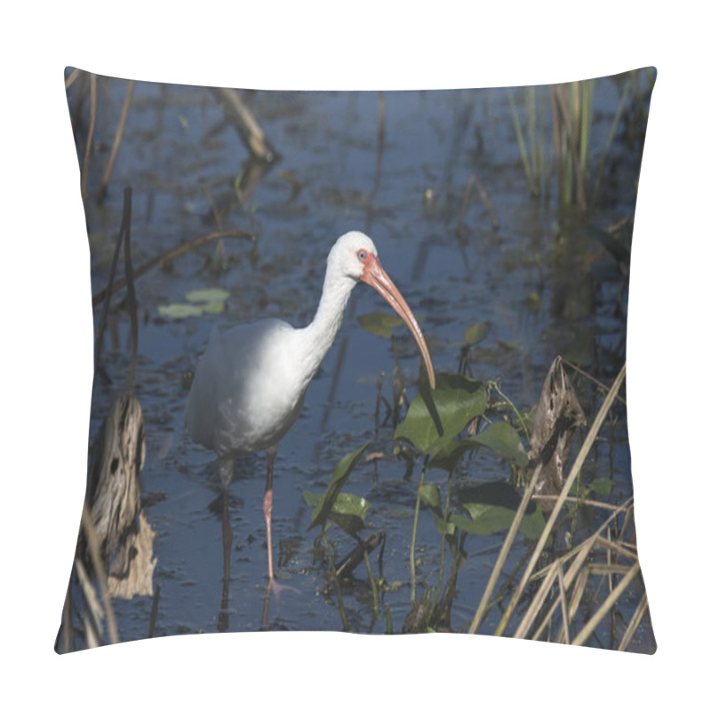 Personality  Adult White Ibis In Shallow Water At  The Brazos Bend State Park, Texas, USA Pillow Covers