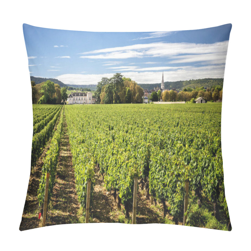 Personality  BURGUNDY - MEURSAULT - Chateau De Meursault. Today The Castle Is One Of The Most Important Wineries That You Can Discover Along The Wine Route Of Burgundy. Montrachet, France Pillow Covers