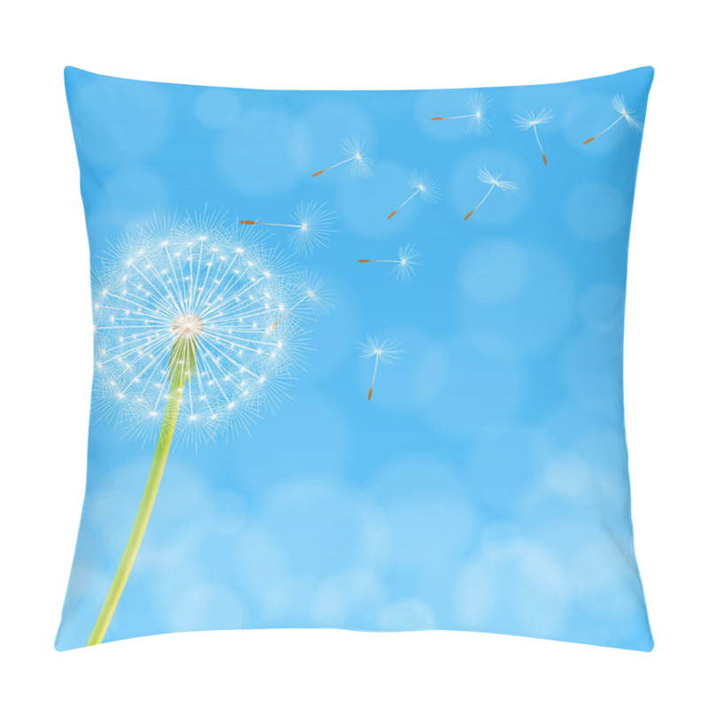 Personality  Dandelion Flower Background Pillow Covers