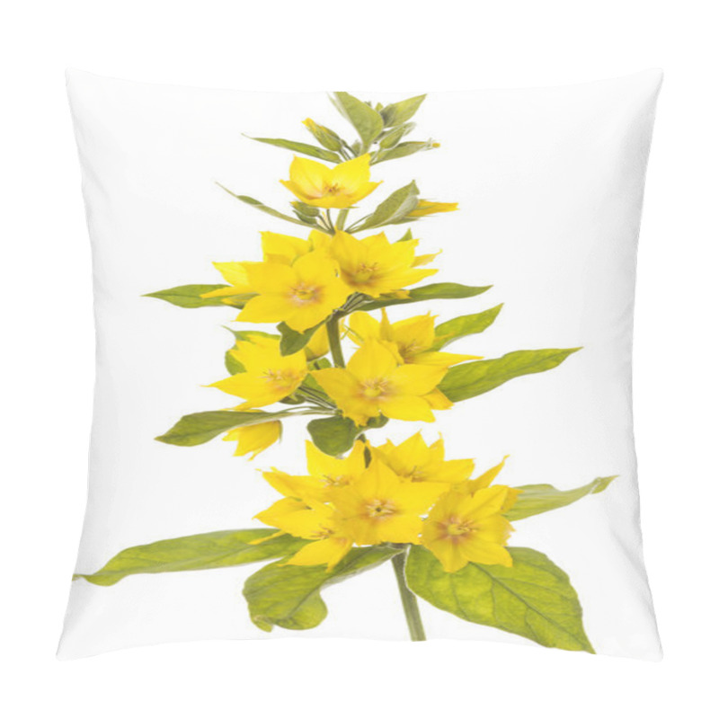 Personality  Blooming Spotted Loosestrife Pillow Covers