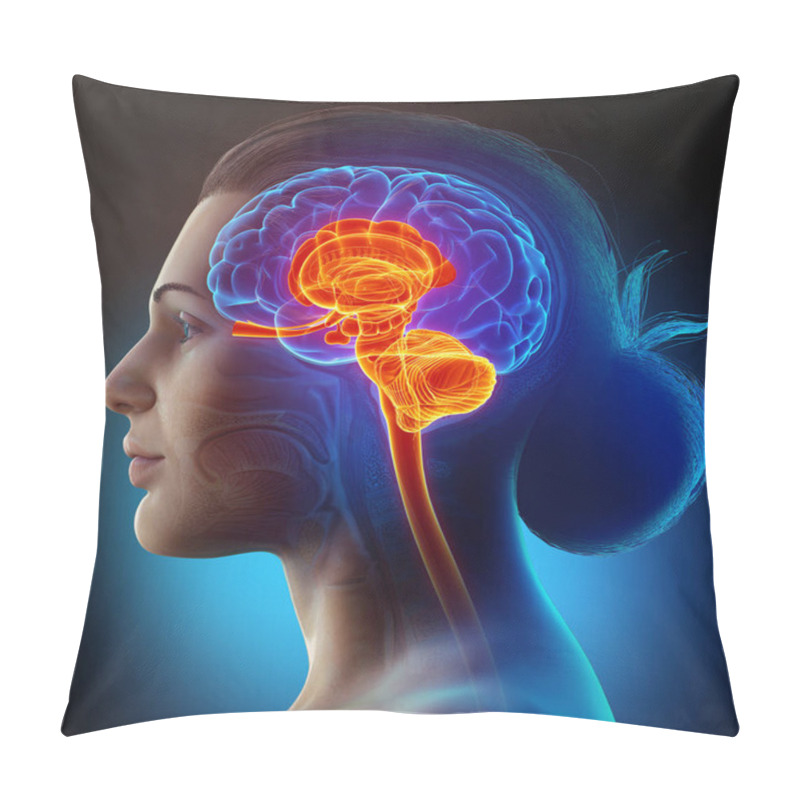 Personality  3d Rendering Medical Illustration Of Male Interior Brain  Anatomy  Pillow Covers