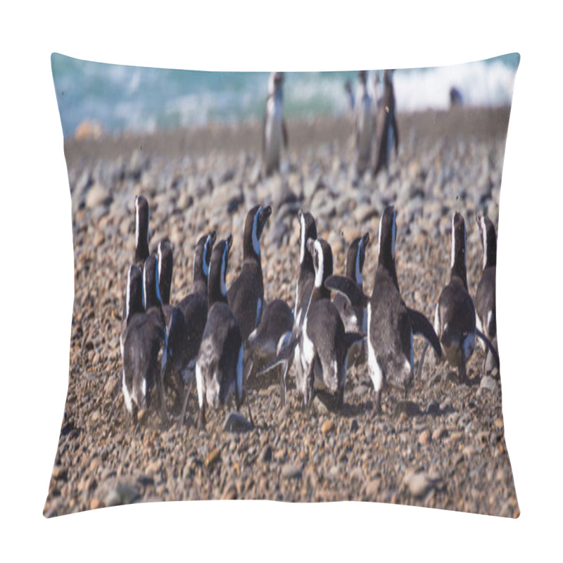 Personality  Penguins In The Pinguinera Faro Cabo Virgenes, In Argentina Pillow Covers