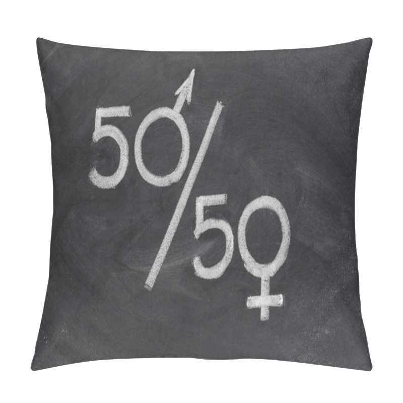 Personality  Gender Equal Opportunity Pillow Covers