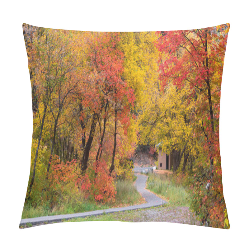 Personality  Colorful Autumn Trees Along Scenic Walking Trail Near North American Fork Canyon In Utah. Pillow Covers