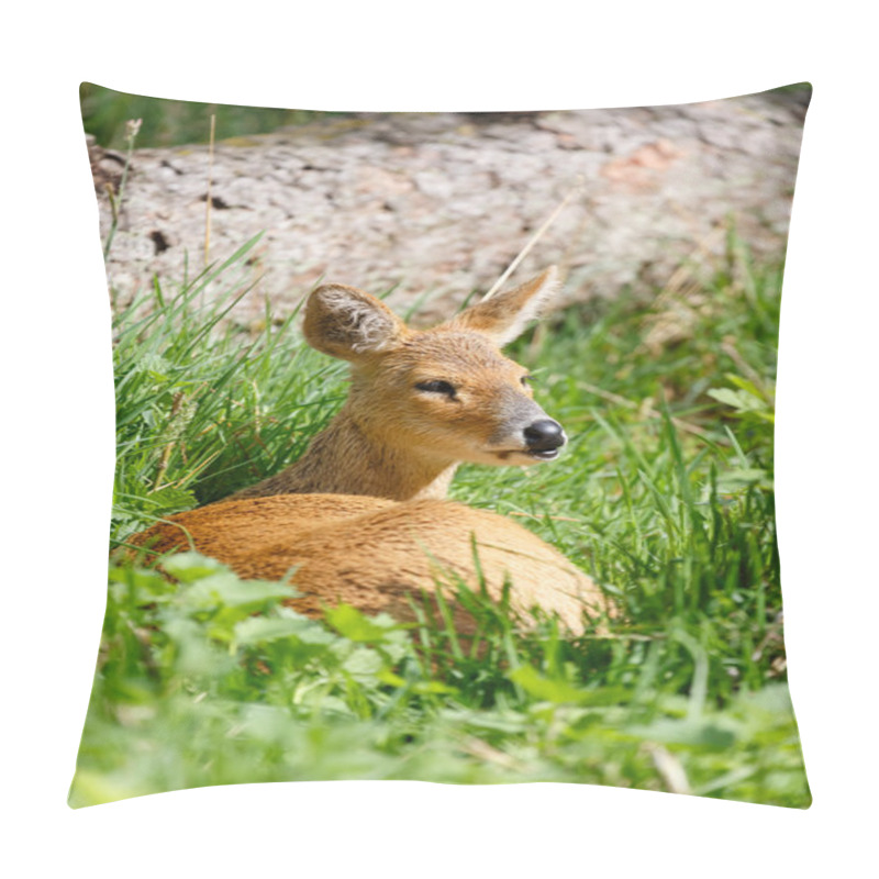 Personality  Chinese water deer pillow covers