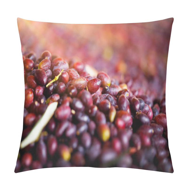 Personality  Black Olives Background, Mediterranean Fruits, Tasty Healthy Nutrition, Organic Food, Picking And Production Of Vegetables, Autumn Season Harvest Pillow Covers