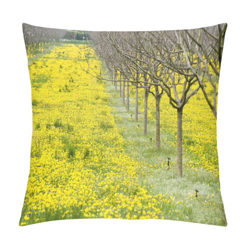 Personality  Dandelion Field  Pillow Covers