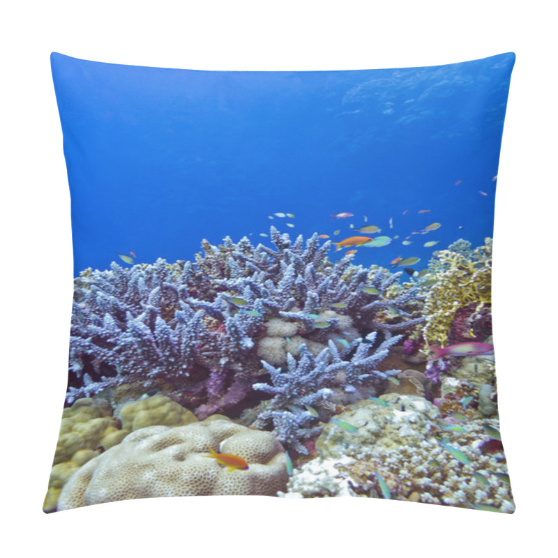 Personality  Coral Reef With Blue Hard Corals At The Bottom Of Tropical Sea Pillow Covers