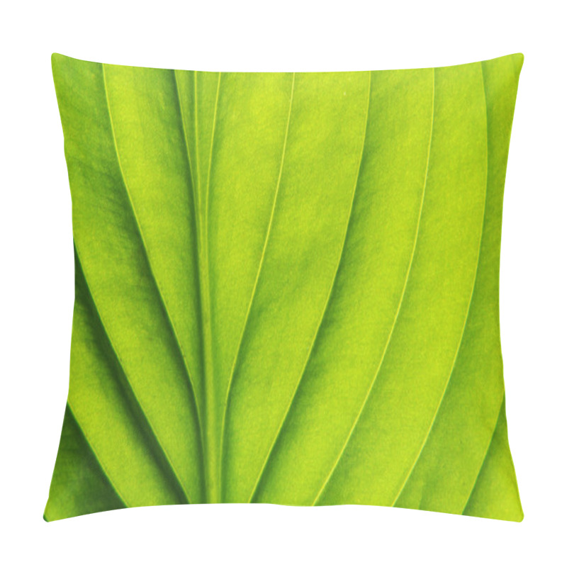 Personality  Leaf Background Pillow Covers