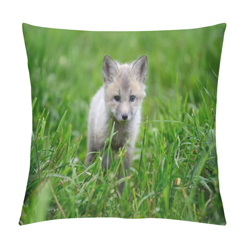 Personality  Baby Silver Fox Pillow Covers