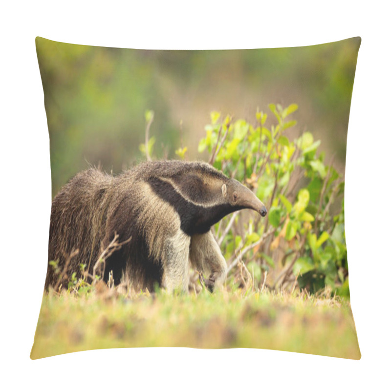 Personality  Anteater, Cute Animal From Brazil Pillow Covers