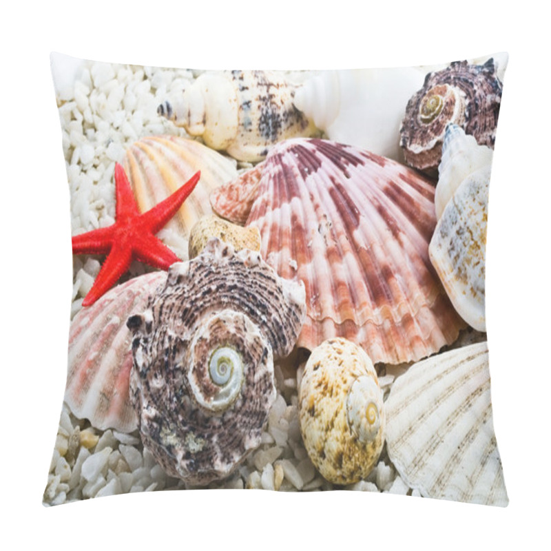 Personality  Shells Pillow Covers