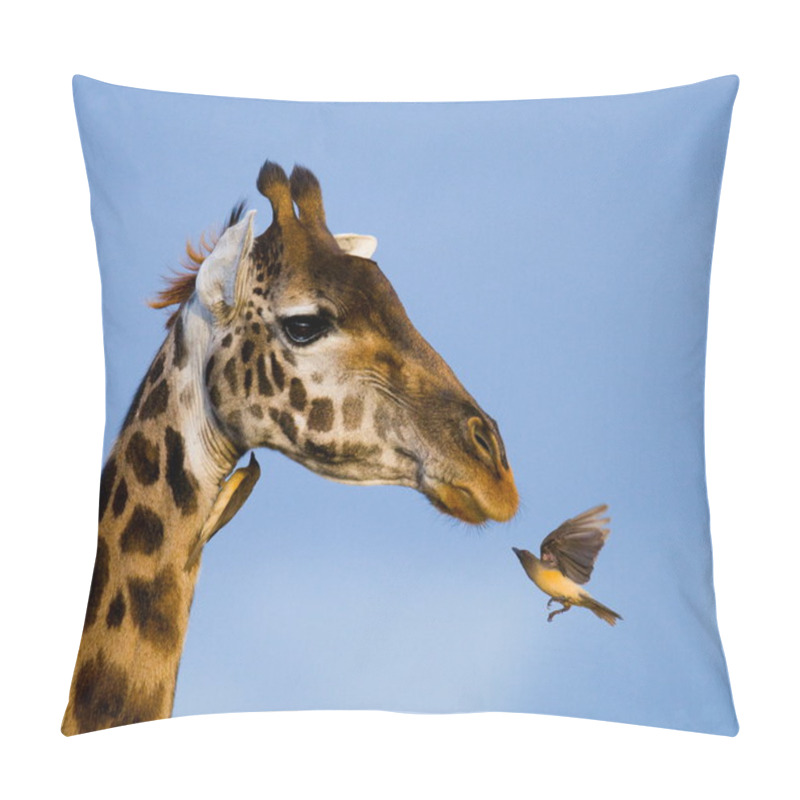 Personality  Giraffe And Bird Close Up Pillow Covers