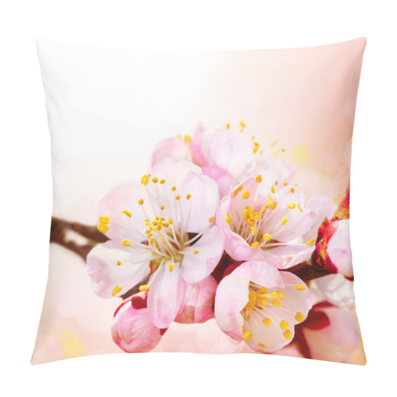 Personality  Spring Blossom. Apricot Flowers Border Art Design Pillow Covers