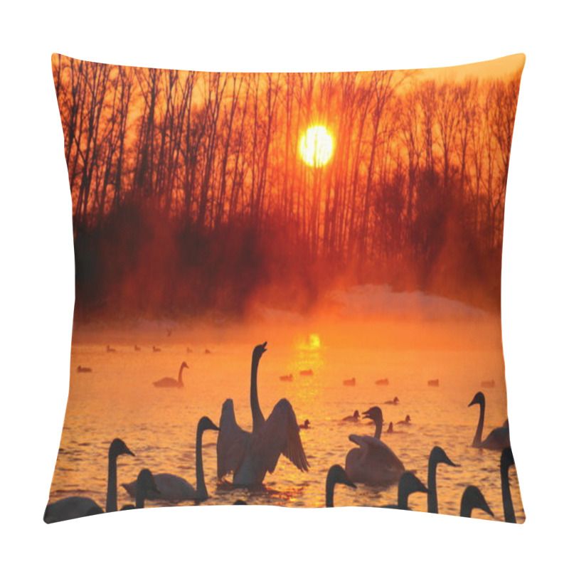 Personality  Sunset On The Bright (Swan) Lake In Winter. Pillow Covers