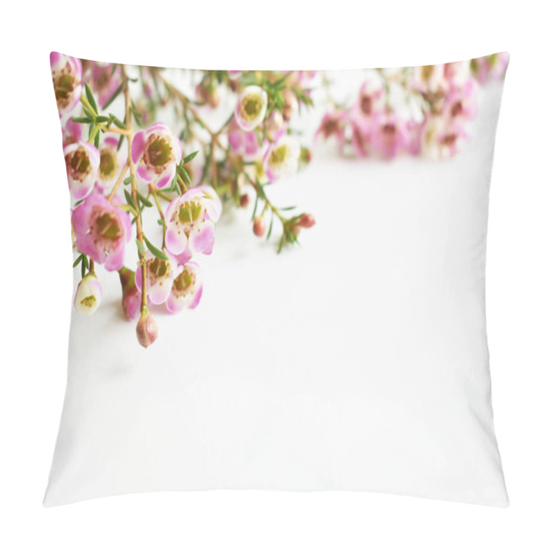 Personality  Australian Native Wild Flower Pastel Pink Geraldton Wax Chameleucium Uncinatum Isolated On White Background, Violet Floral Background, Wedding Decoration, Springtime, Botany Pillow Covers