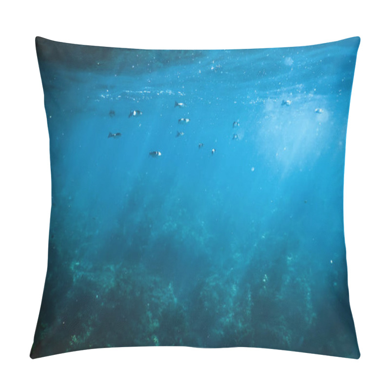 Personality  Dark Water, Rays Of The Sun Through The Water, The Underwater World, Dark Sea Background Pillow Covers