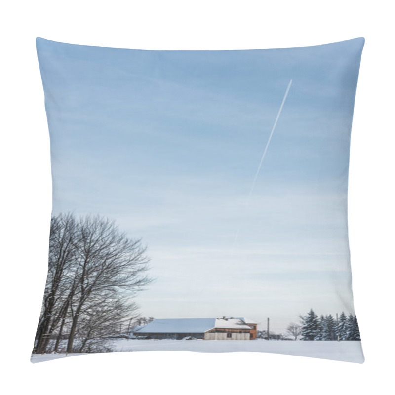 Personality  Landscape With House And Trees In Snowy Carpathian Mountains Pillow Covers