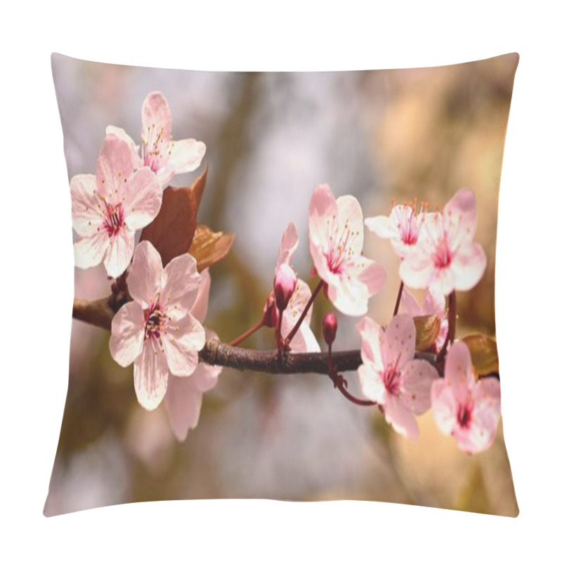 Personality  Beautiful Flowering Japanese Cherry Sakura. Season Background. Outdoor Natural Blurred Background With Flowering Tree In Spring Sunny Day. Pillow Covers