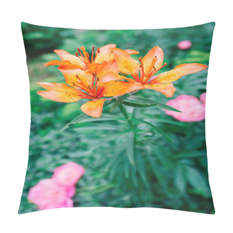 Personality  Spring Growing Flower And Nature That Comes Alive Pillow Covers