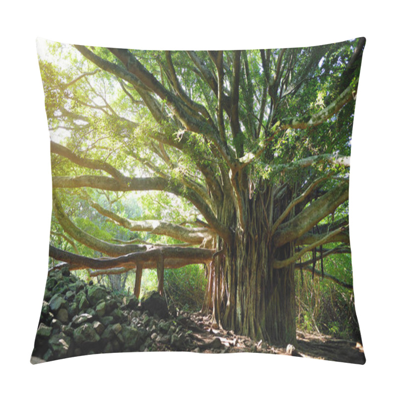 Personality  Big Banyan Tree Pillow Covers