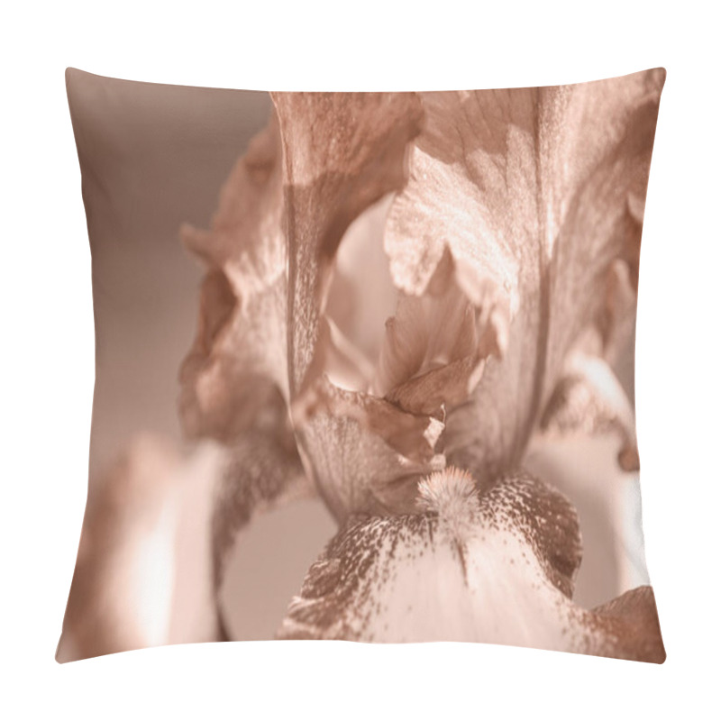 Personality  Closeup Curved Iris Petals Toned In Sepia Brown, Floral Macro Background. Main Color Concept Of 2025 Year - Mocha Mousse. Pillow Covers