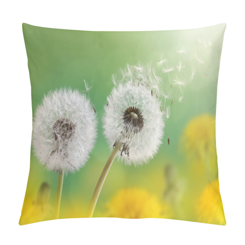 Personality  Dandelion Clock In Morning Sun Pillow Covers